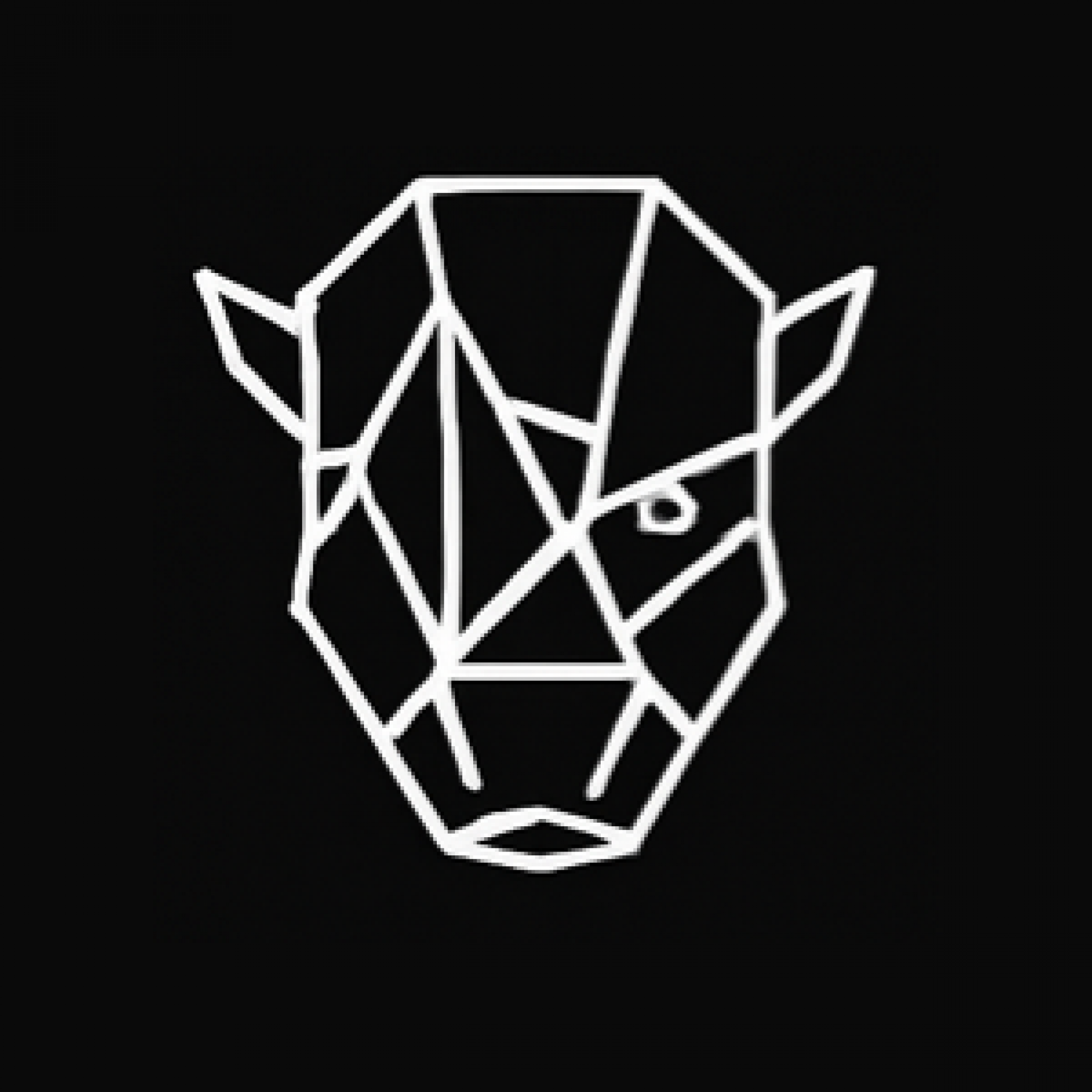Squat - Rhino